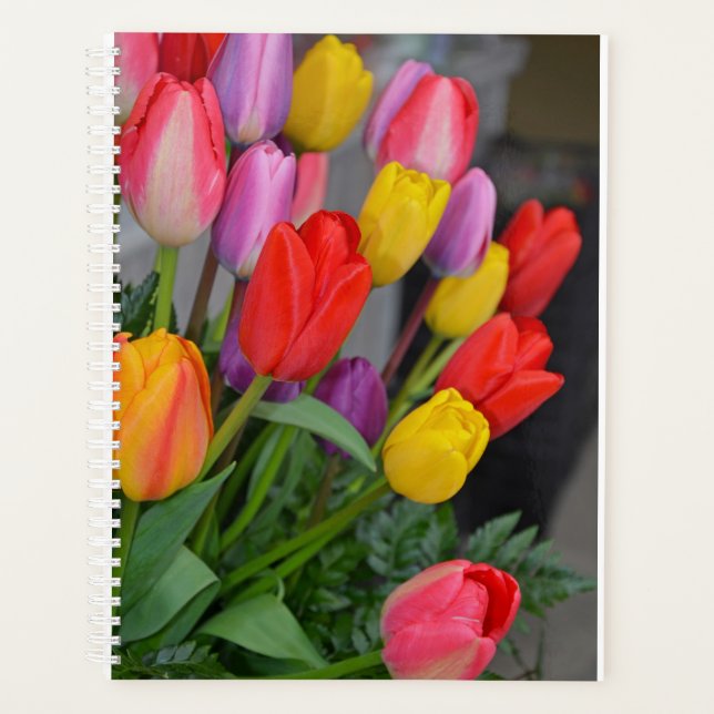 Agenda Tulipas primavera coloridas (Frente)