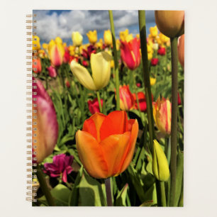 Agenda Tulipas Primavera coloridas