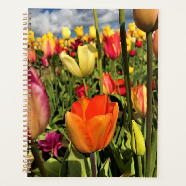 Agenda Tulipas Primavera coloridas (Frente)