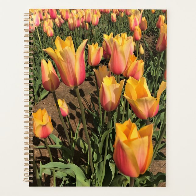 Agenda Tulipas Rosa e Amarelo (Frente)