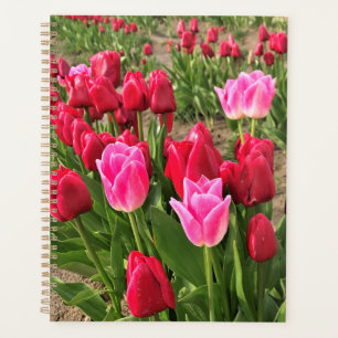 Agenda Tulipas Rosa e Vermelha