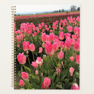 Agenda Tulipas Rosa e Vermelhas em um Campo, Oregon