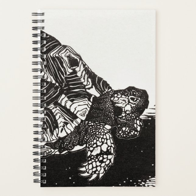 Agenda Turtle Haven 2024: Uma Aventura Terrarium por Ano (Frente)