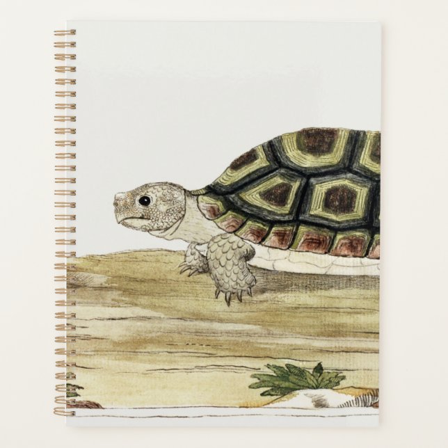 Agenda Turtle & Tortoise Harmony: Notas de Posto Jigsee (Frente)