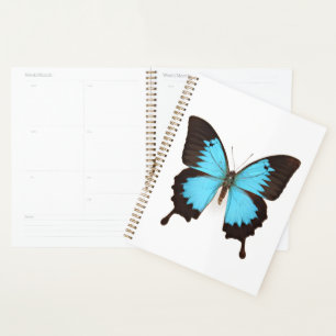 Agenda Ulysses Butterfly