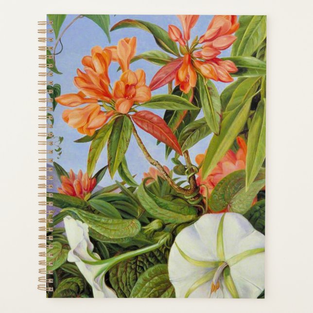 Agenda Um Javan Rhododendrum e Ipomoea (Frente)