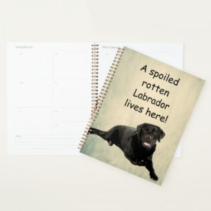 Agenda Um Labrador Rotten mimado mora aqui