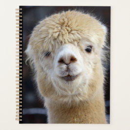 Agenda Um rosto fofo e fofinho de uma alpaca   