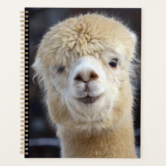 Agenda Um rosto fofo e fofinho de uma alpaca    (Frente)