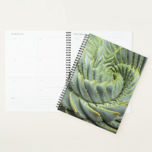 Agenda Um Suculento Verde e Branco