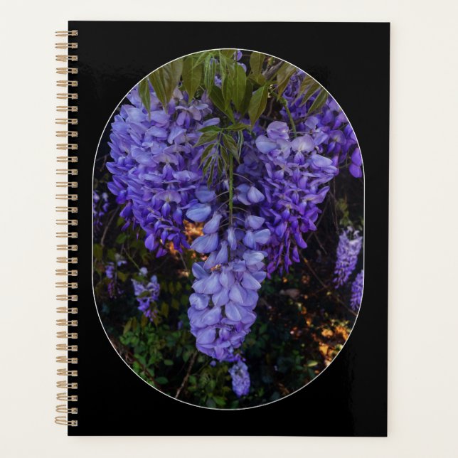 Agenda um toque lindo da natureza  (Frente)