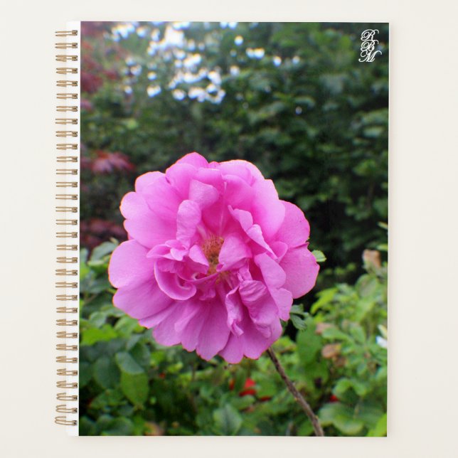 Agenda Uma Única Flor Rosa (Frente)
