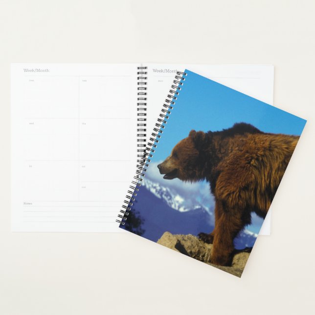 Agenda Urso Grizzly (Exibição)