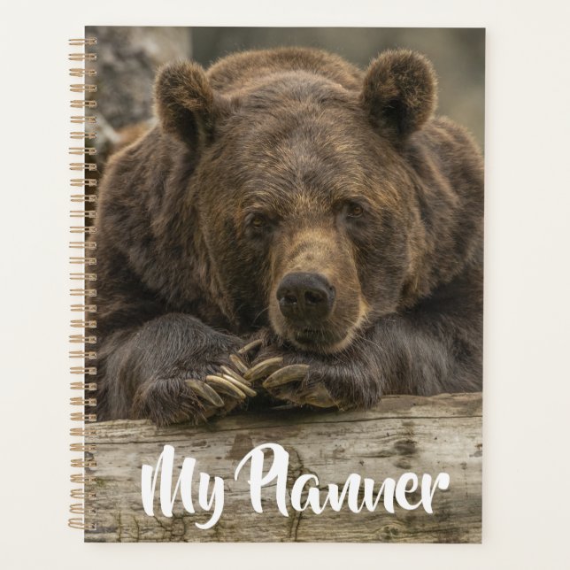 Agenda Urso Grizzly (Frente)