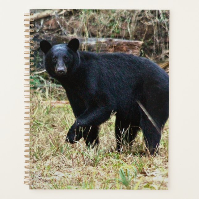 Agenda Urso Negro da Flórida (Frente)