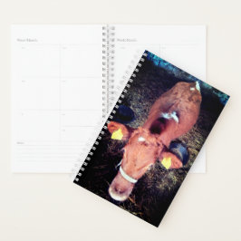 Agenda Vaca castanha