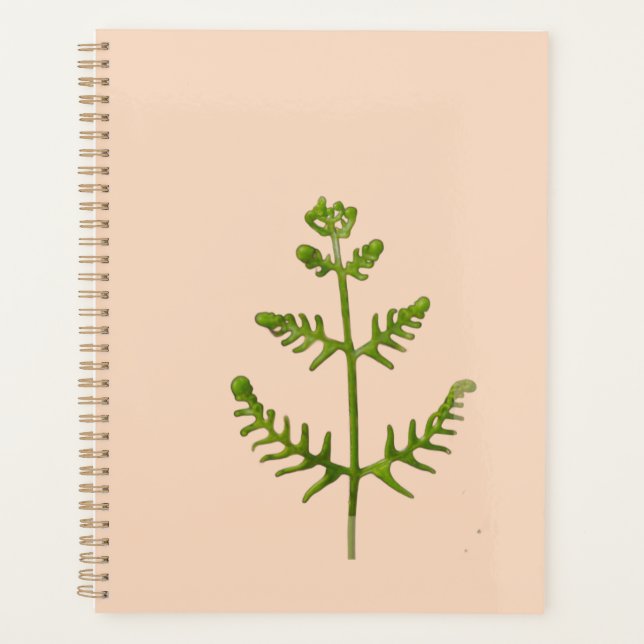 Agenda verde primavera (Frente)