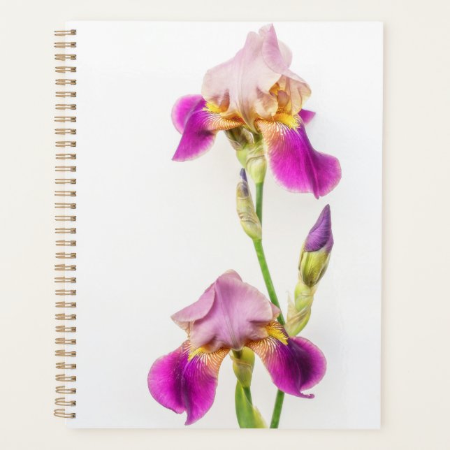 Agenda Vibrant pink and purple iris Planner (Frente)