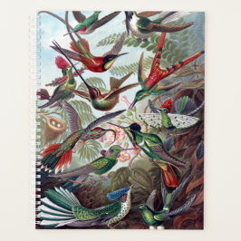 Agenda Vintage