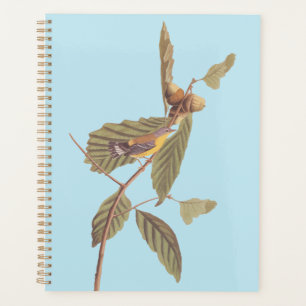Agenda Vintage Audubon Magnolia Warbler Bird