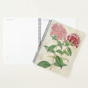 Agenda Vintage Botânica New Hybrid Bouvardias