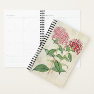 Agenda Vintage Botânica New Hybrid Bouvardias