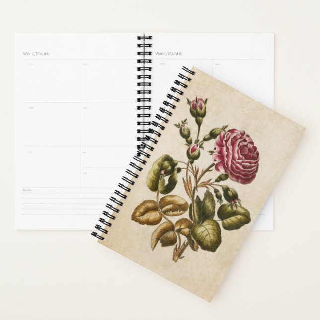 Agenda Vintage Botanical Floral Rosa (Exibição)