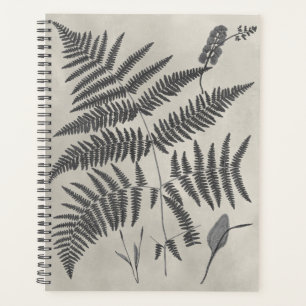 Agenda Vintage Ferns