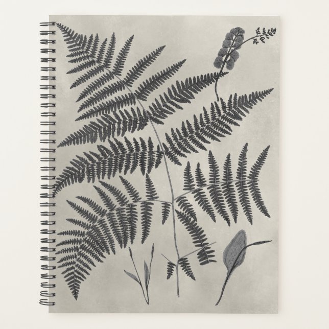 Agenda Vintage Ferns (Frente)