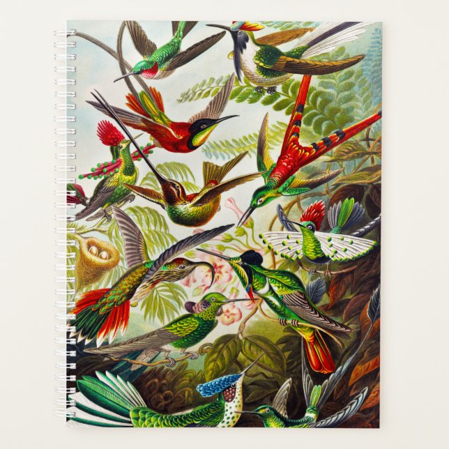 Agenda Vintage Hummingbird por Ernst Haeckel (Frente)