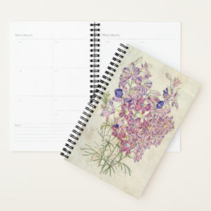 Agenda Vintage Tricolorido Larkspur