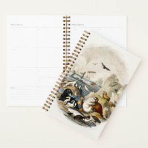 Agenda Vintage Zoo Seals Beach Sea