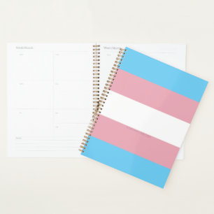 Agenda Visibilidade da bandeira do orgulho transgênero Sl