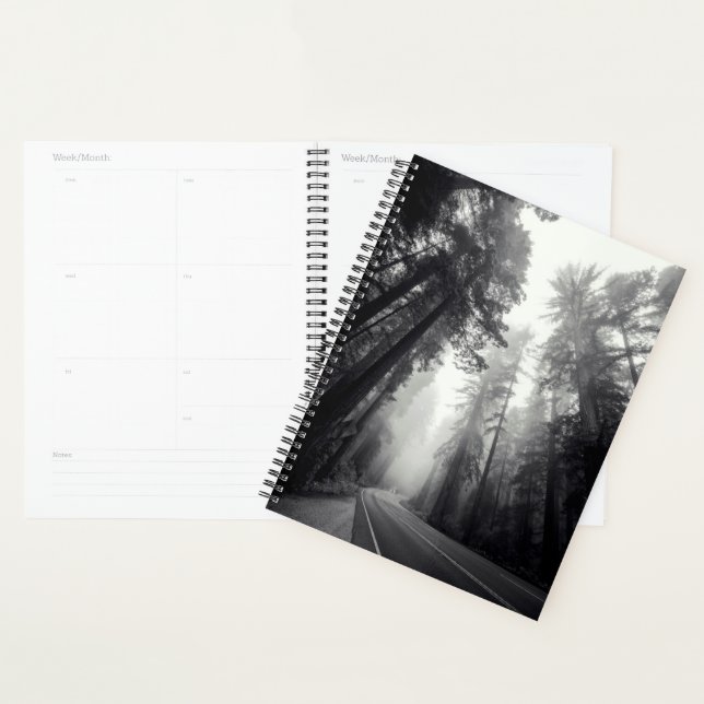 Agenda Vista Das Árvores De Sequoia Na Floresta (Exibição)