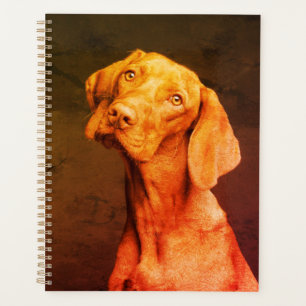 Agenda Vizsla