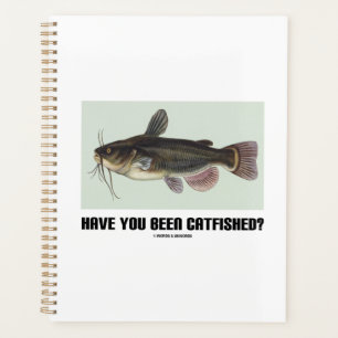 Agenda Você Foi Catfished? Humor de Consulta de Bagre