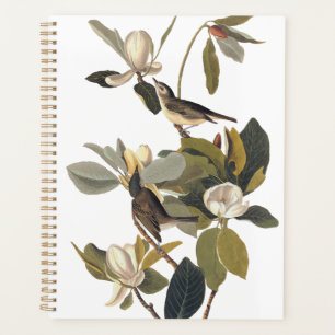 Agenda Warbling Flycatcher Kingbird Vintage Audubon