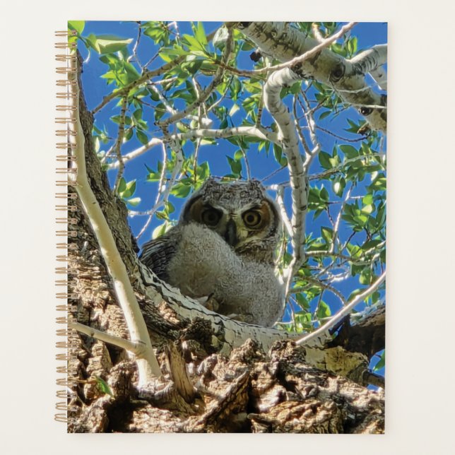 Agenda Watching You Planner (Frente)