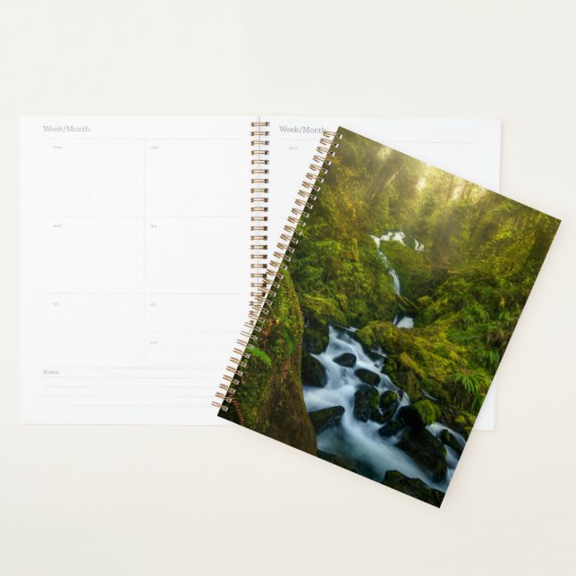 Agenda Waterfalls | Olympic National Park, Washington (Exibição)