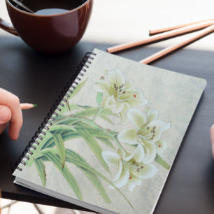 Agenda White Lily