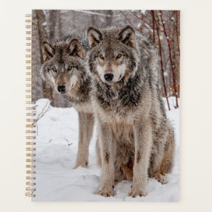Agenda Wolf Cinza Oriental