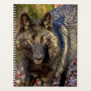 Agenda Wolf Planner 2024