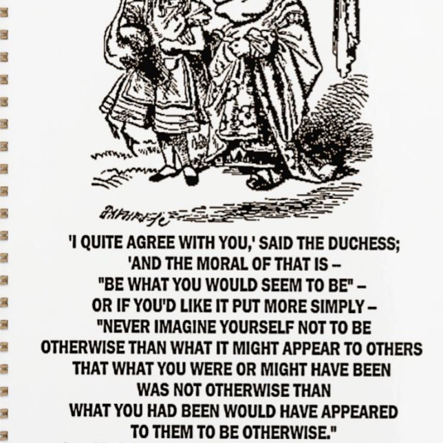 Agenda Wonderland Seria O Que Você Seria Duquesa (Wonderland logical humor advice & adventure is found on this planner featuring Alice & The Duchess.)
