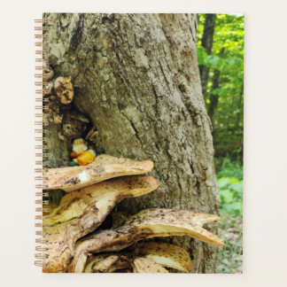 Agenda Woodland Gnome em Mushroom Tree House