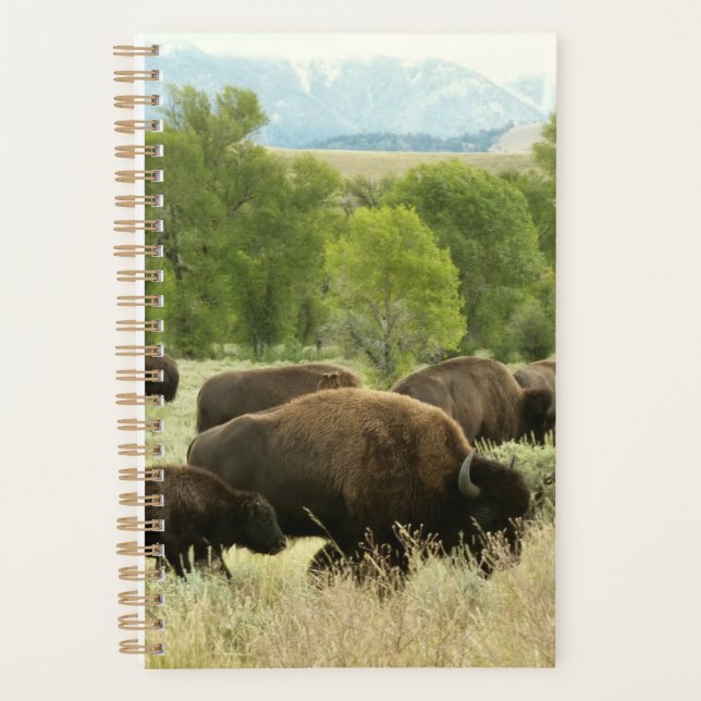 Agenda Wyoming Bison Nature (Frente)