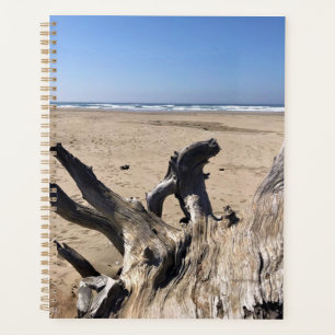 Agenda Yaquina Bay State Recreation Site, Newport, Oregon