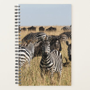 Agenda Zebra do Grant