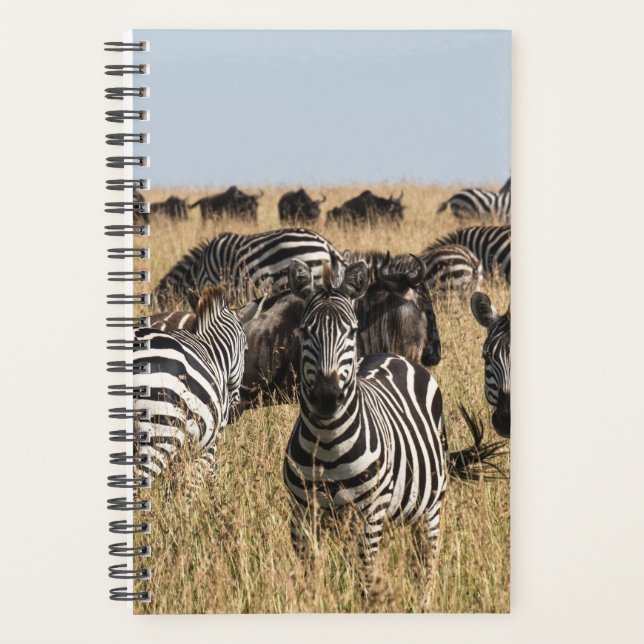Agenda Zebra do Grant (Frente)