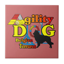 Agilidade belga do Tervuren