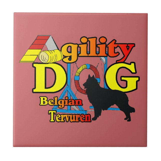 Agilidade belga do Tervuren (Frente)